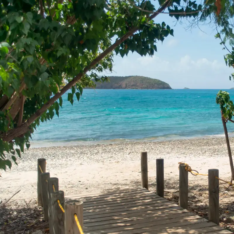 Tamarindo