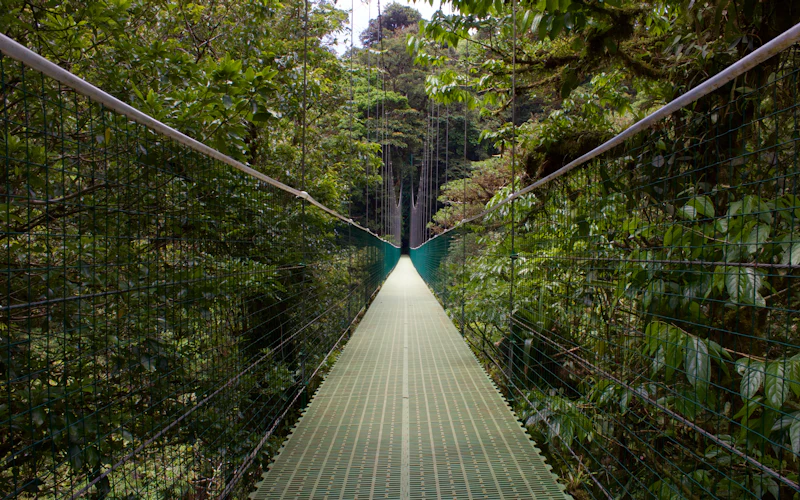 Bosque nuboso de Monteverde
